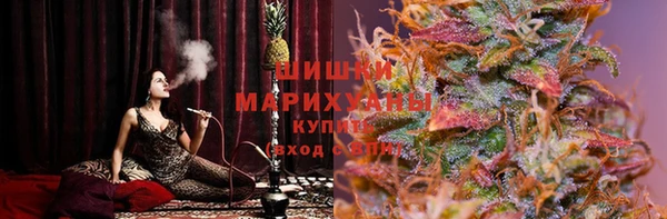 мдпв Магас
