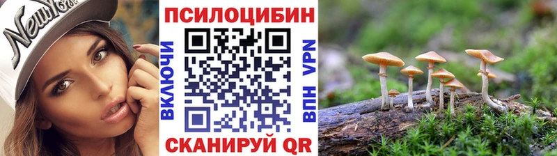 Псилоцибиновые грибы Cubensis  как найти закладки  Томари 