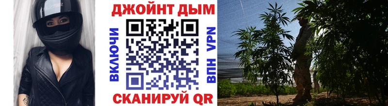 Каннабис сатива  shop официальный сайт  Томари 